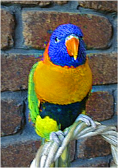 luigi-brusaschi